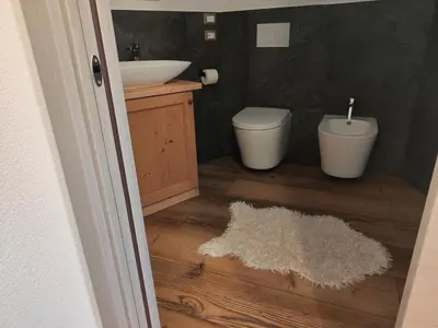 a bathroom with a sink and a toilet and a mirror at Appartamento Maria appartamento nelle dolomiti in Canale San Bovo