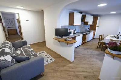 a living room with a couch and a television at appartamenti dei Maerins in Pozza di Fassa