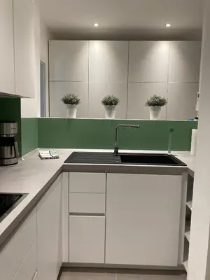 a kitchen with white cabinets and a sink with potted plants at Apartment Larissa in Merano