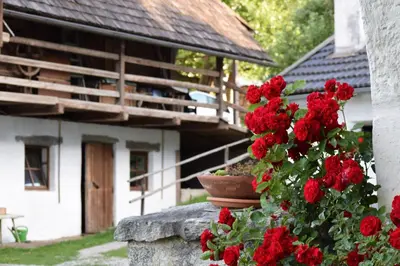 a bunch of red flowers in front of a house at Hofrichter in San Lorenzo di Sebato