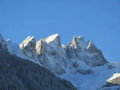 a snow covered mountain range with trees in the foreground at Hotel Garnì Miramonti in Falcade