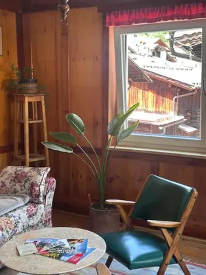 a living room with a chair and a potted plant at Oma Nani in Campitello di Fassa