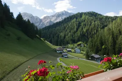 a view of a valley with mountains and flowers at Lüch da Mirió in La Valle