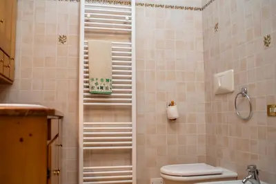 a bathroom with a shower and a toilet in it at Masito Apartments The Hub in Cortina dʼAmpezzo