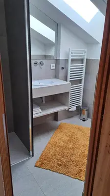 a bathroom with a sink and a mirror at Haus am Park in Rasùn di Sotto