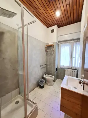 a bathroom with a shower and a sink and a toilet at Excelsior Hotel Cimone LowCost in San Martino di Castrozza