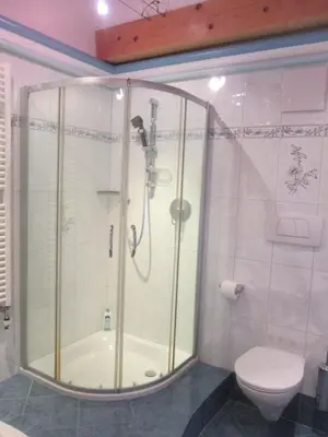 a bathroom with a shower and a toilet at CHALET LEE's HERZNESCHTL in Rodengo