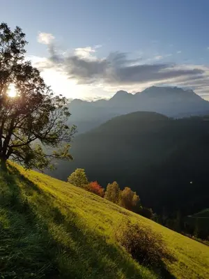 a tree on a hill with a view of a mountain at Lüch da Börz in Antermoia