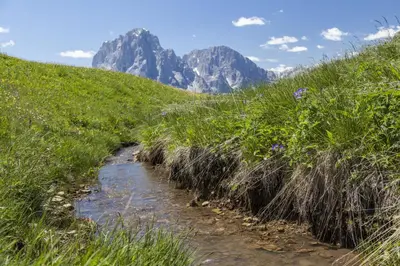 a path through a grassy field with mountains in the background at Dorfhotel Beludei in Santa Cristina in Val Gardena