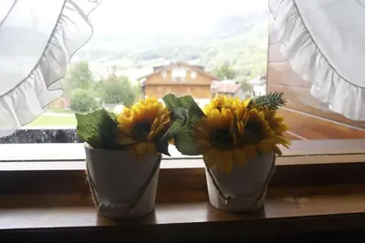 two vases with yellow flowers sitting on a window sill at Verocai Studio by WelcHome in Cortina dʼAmpezzo