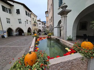 a street with pumpkins and a pond in a city at mama's room in Egna