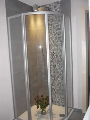 a shower stall with a vase with flowers in it at Apartments Resi in Rasùn di Sotto