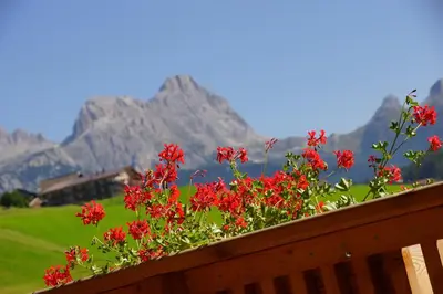 a bunch of red flowers on a wooden railing with mountains at Costadedoi in San Cassiano