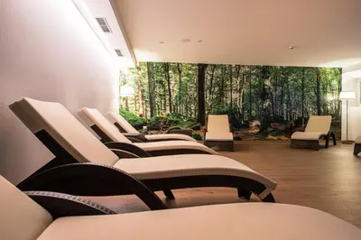 a row of chairs in a room with trees on the wall at Golden Park Resort in Campitello di Fassa