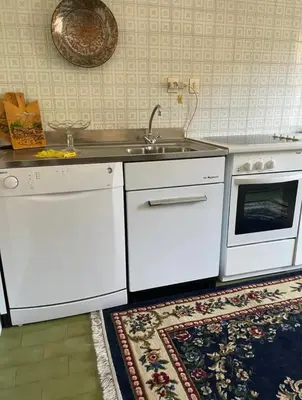 a kitchen with white appliances and a sink and a rug at Mountainlodge Sellaronda in Canazei