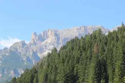 a mountain with trees and mountains in the background at Residence Fontanazzo in Campitello