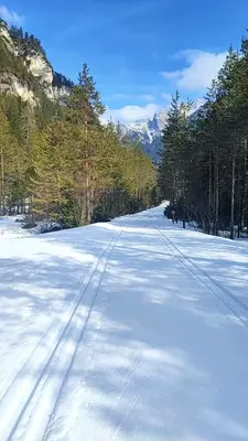 a snow covered road with trees and mountains in the background at Appartaments Lavaredo in Carbonin