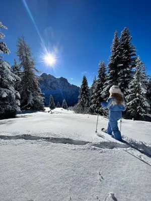 a person on skis in the snow with the sun at Climb house Geremia in Selva di Cadore