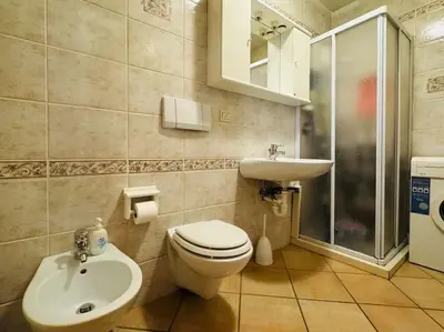 a bathroom with a toilet and a sink and a shower at Appartamento nel cuore della Val di Fassa in Campestrin