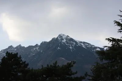 a snow covered mountain with trees in front of it at Appartamento Adele in Merano