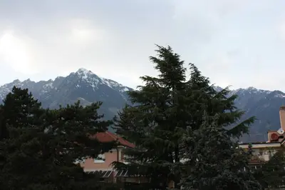 a couple of trees with mountains in the background at Appartamento Adele in Merano