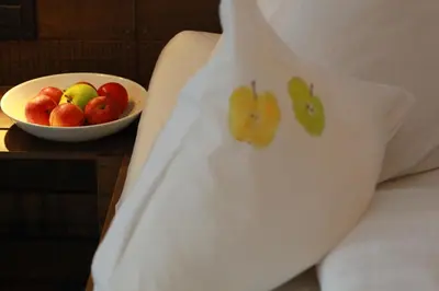 a bowl of apples on a pillow next to a bowl of fruit at Örtlerhof in Tirolo