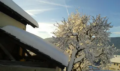 a tree covered in snow next to a building at Huberhof Abendsonne in Terento