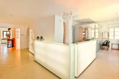a large white room with a tree in a vase at Kati`s Guesthouse-Zentral in Kaltern in Caldaro