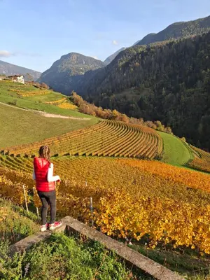a woman standing on a hill looking at a vineyard at OBERBUCHFELDER historic farmhouse in Laion