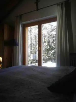 a bedroom with a bed and a large window at LA VOCE DEL BOSCO Selva di Cadore in Selva di Cadore