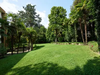 a large yard with palm trees and green grass at Central Palm Studio with free Parking in Merano