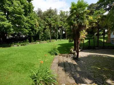 a garden with a palm tree and a grass field at Central Palm Studio with free Parking in Merano