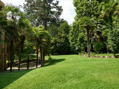 a lawn with palm trees in a park at Central Palm Studio with free Parking in Merano