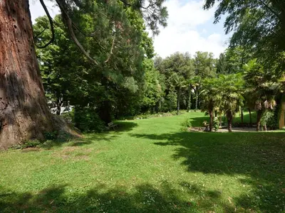 a park with green grass and trees on a sunny day at Central Palm Studio with free Parking in Merano