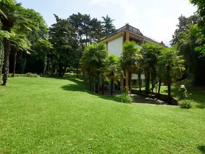 a house with palm trees in a field of grass at Central Palm Studio with free Parking in Merano