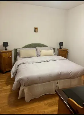 a bedroom with a large bed with two night stands at Appartamento Villa Lucia in Moena