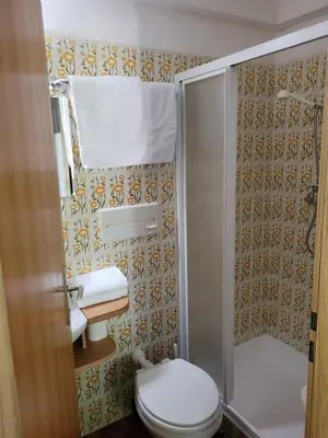 a small bathroom with a toilet and a shower at Privatzimmer Gassermühle in Eggen