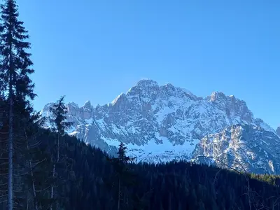 a mountain with trees and snow on it at Dolomites Apartment Finestra sul Civetta in Alleghe