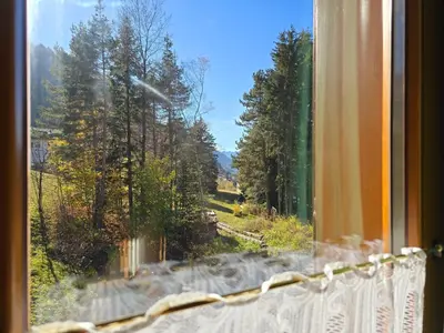 a window with a view of a forest at Sogno sulle Dolomiti - Alpine Stay Apartments in Moena