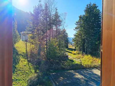 a view from a window of a field with trees at Sogno sulle Dolomiti - Alpine Stay Apartments in Moena