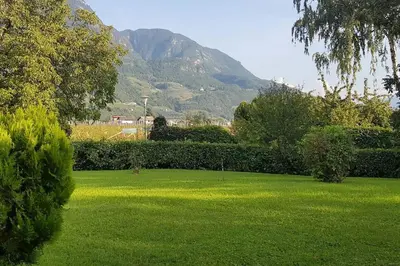 a green lawn with a mountain in the background at Kleine Wohnung, großer Garten! in Merano