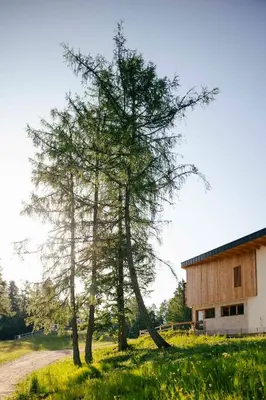 a house with black windows and a balcony at Residence Lavina in Caldaro