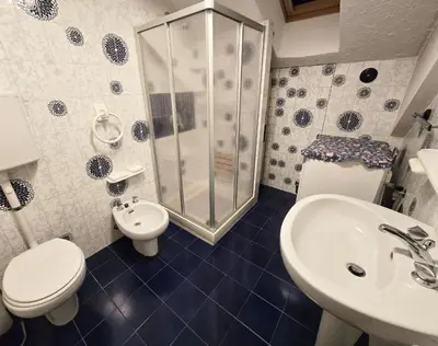 a bathroom with a shower and a toilet and a sink at Le Vette di Moena - Alpine Stay Apartments in Moena