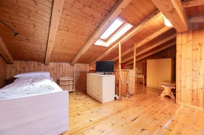 a bedroom with a bed in a room with wooden walls at Cesa de Paio in Mazzin