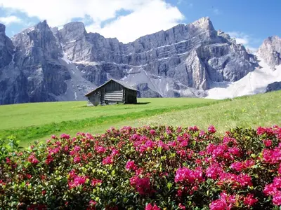 a cabin in a snow covered field with a mountain at Apartment - Alpin Chalet Frenademetz in San Martino in Badia
