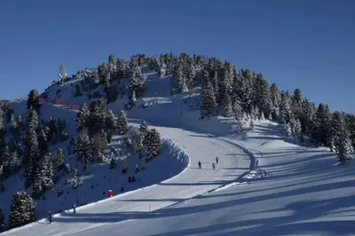 a group of people skiing down a snow covered mountain at trilocale panorama val di fiemme in Predazzo