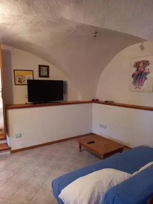 a living room with a bed and a tv at Ala Roda- appartamento in Ziano di Fiemme