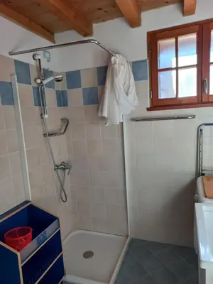 a bathroom with a shower and a sink at Ala Roda- appartamento in Ziano di Fiemme