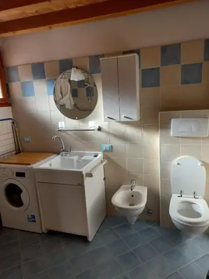 a bathroom with a toilet and a sink and a washing machine at Ala Roda- appartamento in Ziano di Fiemme