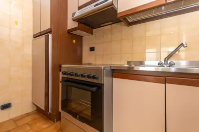 a kitchen with a stove and a sink at Appartamento Alessandra 204 in Vigo di Fassa